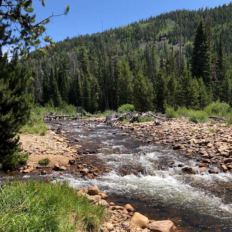 Rocky river view